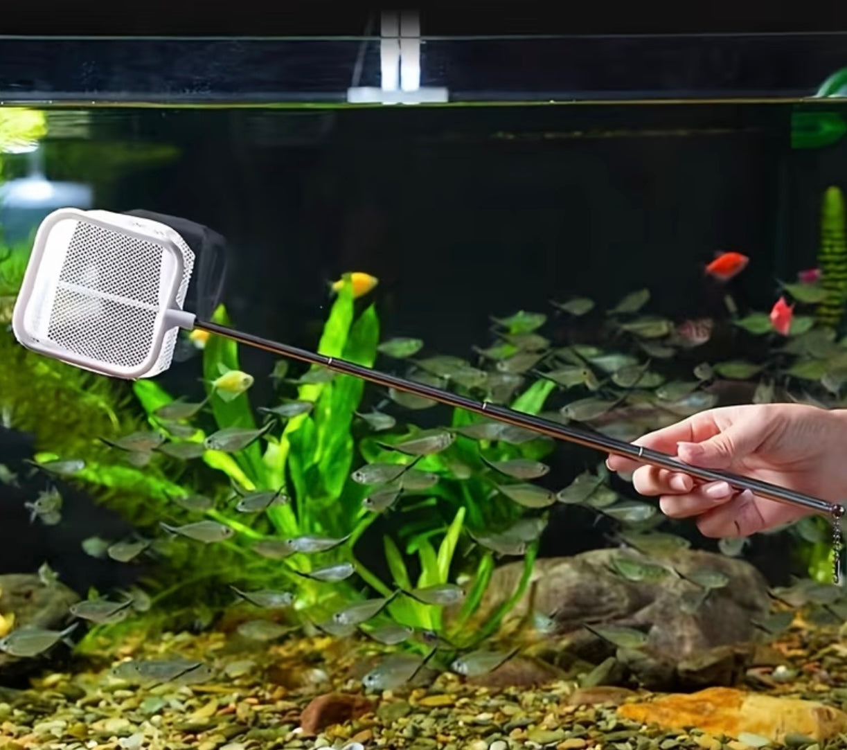 Expandible Stainless Steel Net for Aquarium