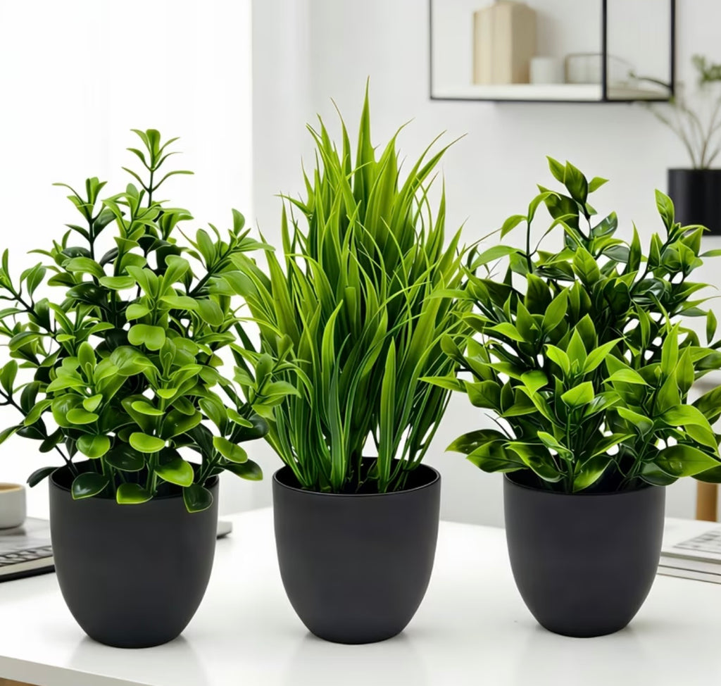 Set of three realistic green artificial plants in pot