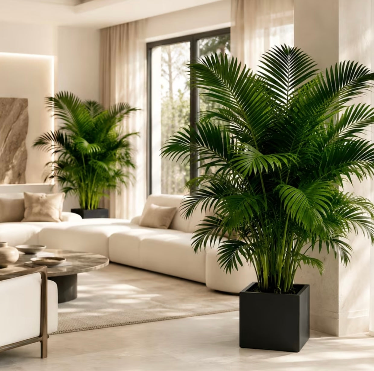 2 pieces green areca palm