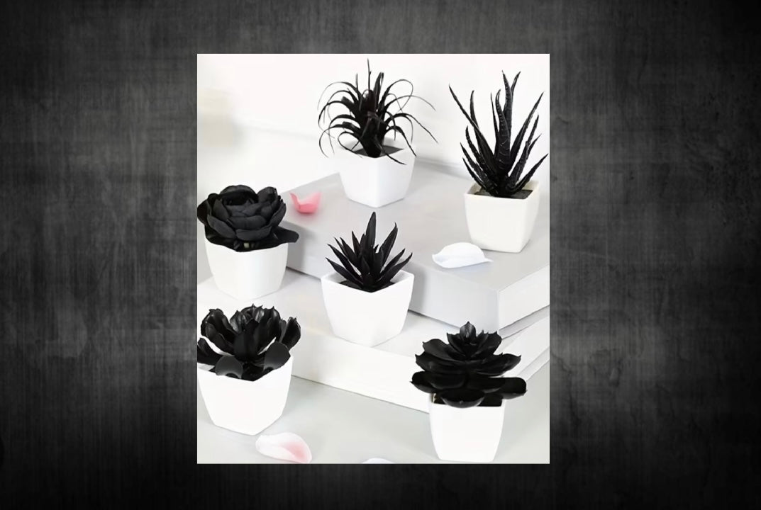6 Pieces Black Artificial Succulents in Mini Pots