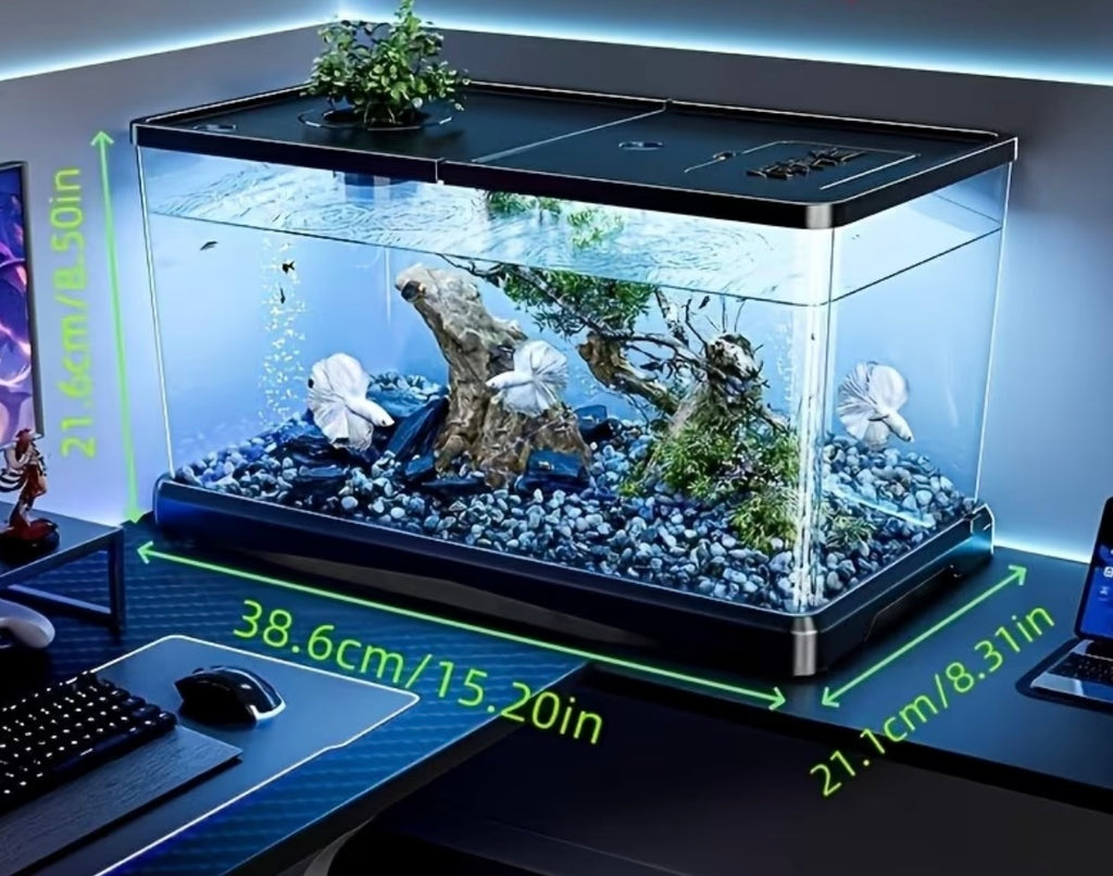 1 Set of Starter Kit for Resistant Aquarium, Modern Aquarium