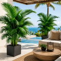 2 pieces green areca palm