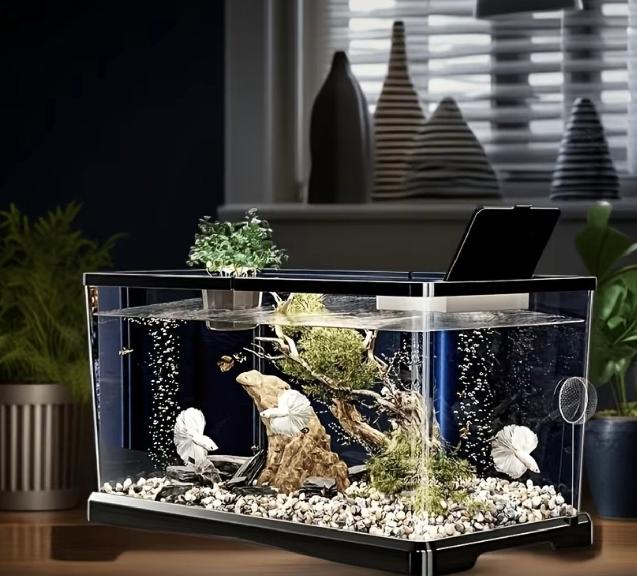 1 Set of Starter Kit for Resistant Aquarium, Modern Aquarium
