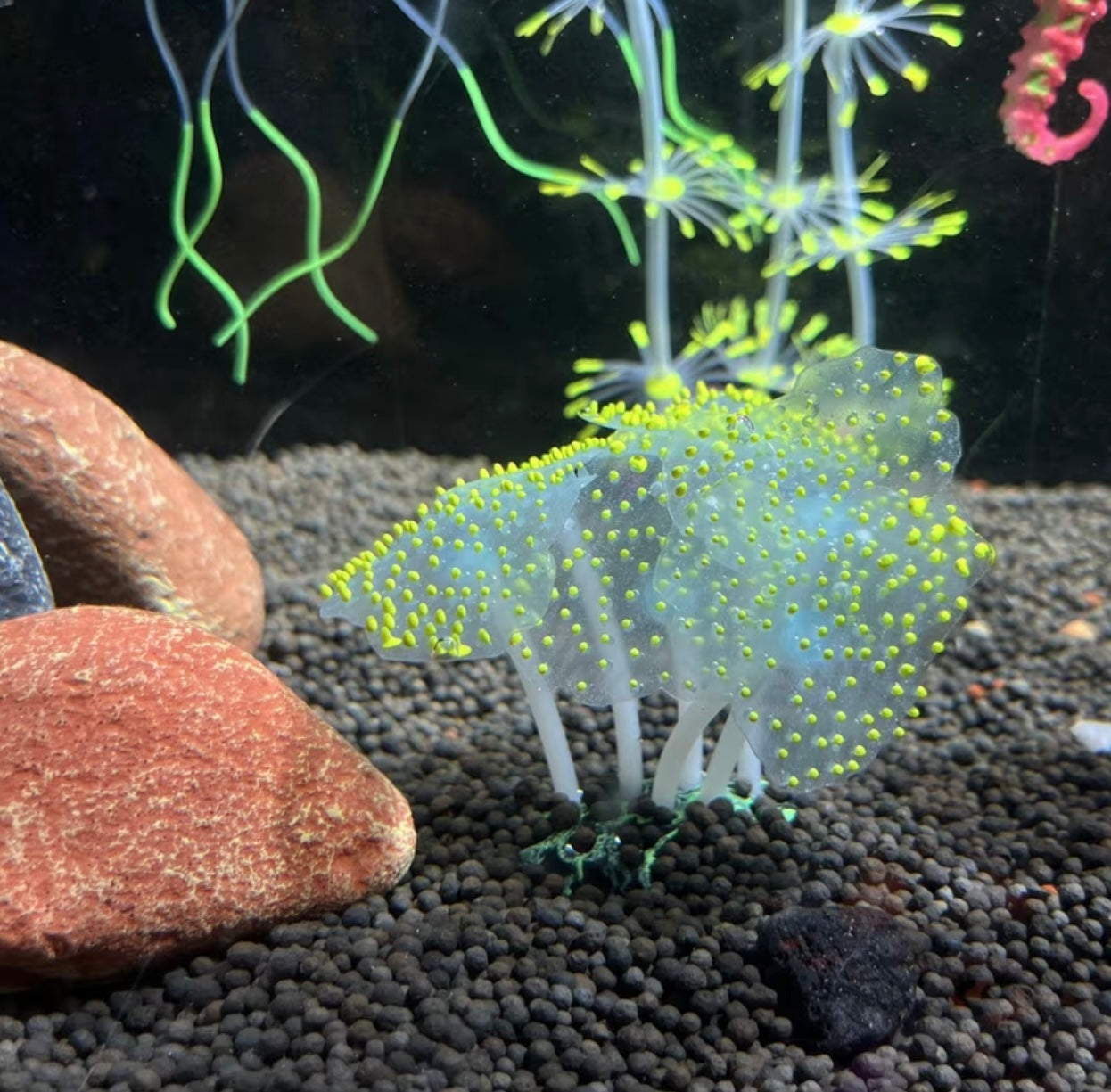 Coral plant-shaped silicone decorations