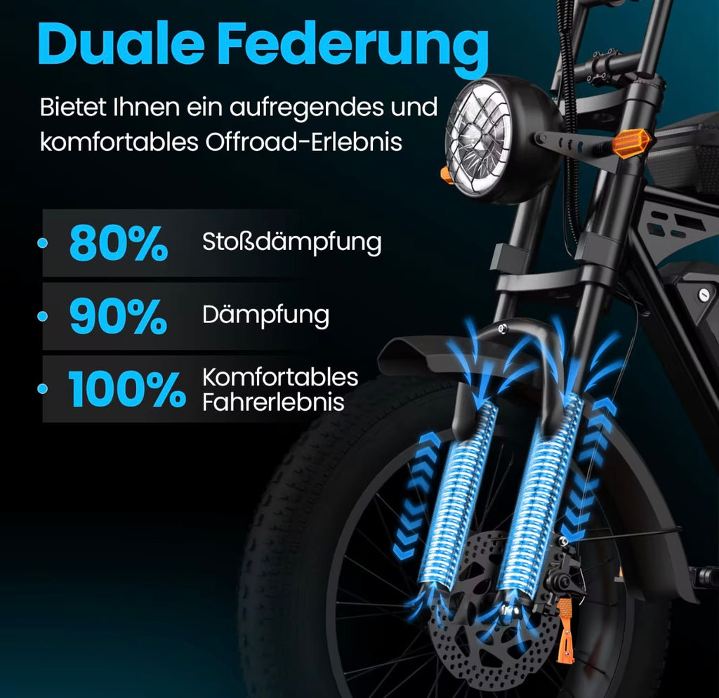 Electric Mountain Bike X5 250W 48V 15AH
