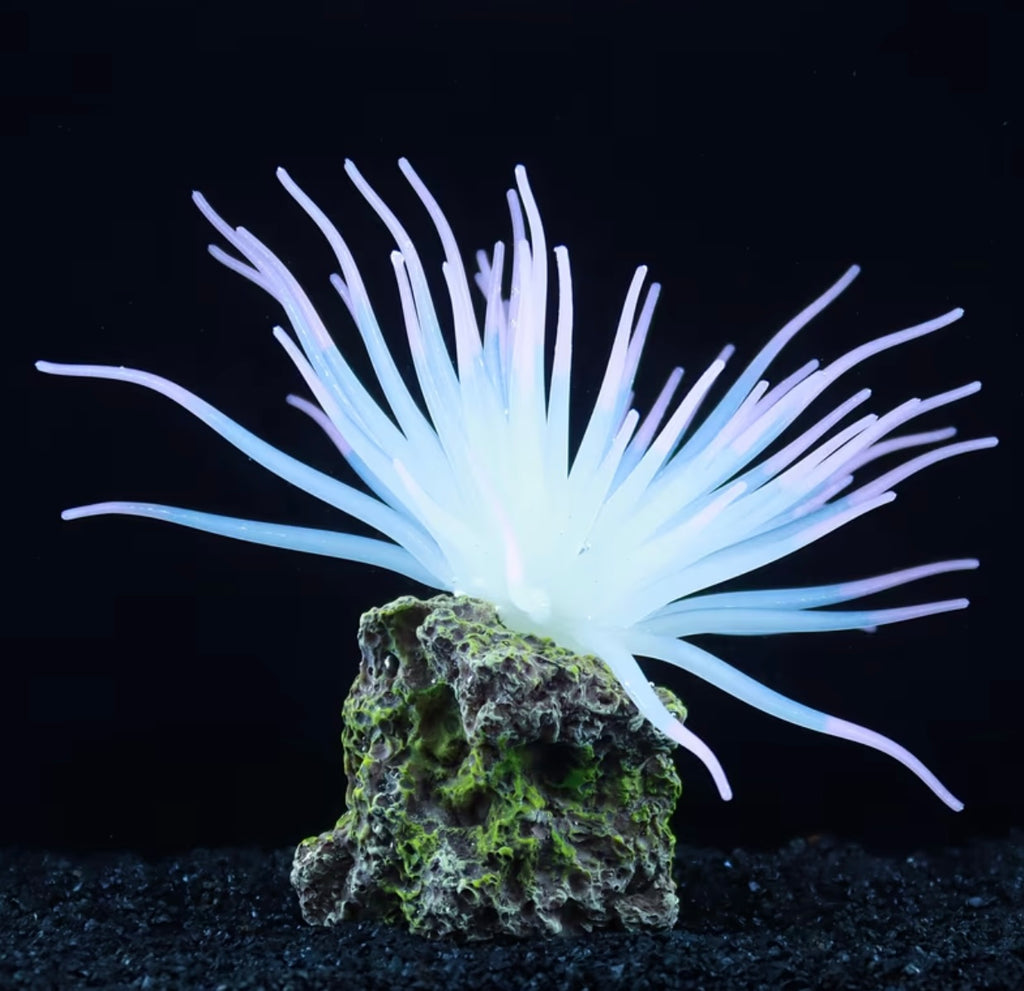 1 Pcs Fluorescent Anemone, Resin Base, Aquarium Decoration