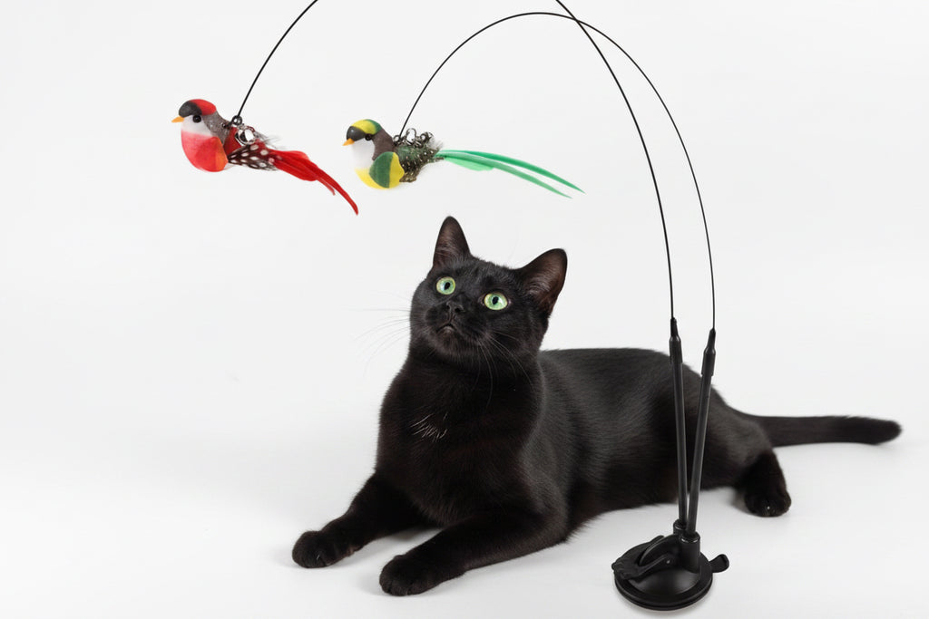 Interactive Grizzle for Cats