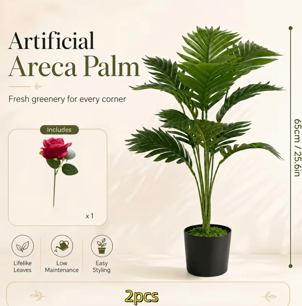 2 pieces green areca palm