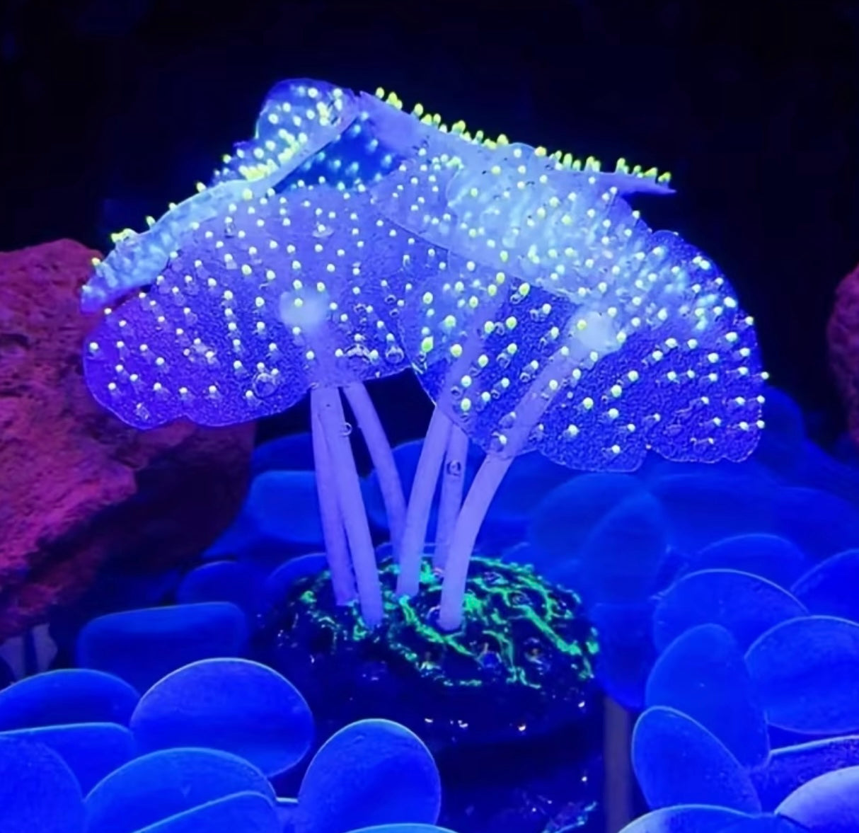 Coral plant-shaped silicone decorations
