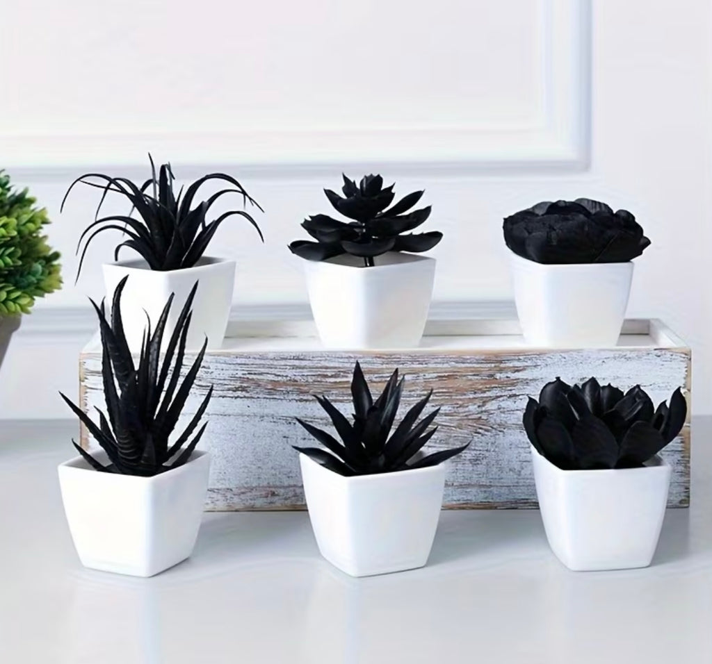 6 Pieces Black Artificial Succulents in Mini Pots