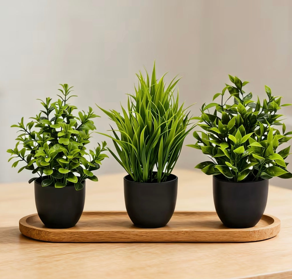 Set of three realistic green artificial plants in pot