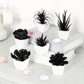 6 Pieces Black Artificial Succulents in Mini Pots