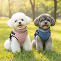 Ss-border Autumn and Winter Clothing for Dogs