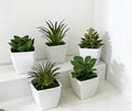 Set of 5 pieces of artificial potted plants