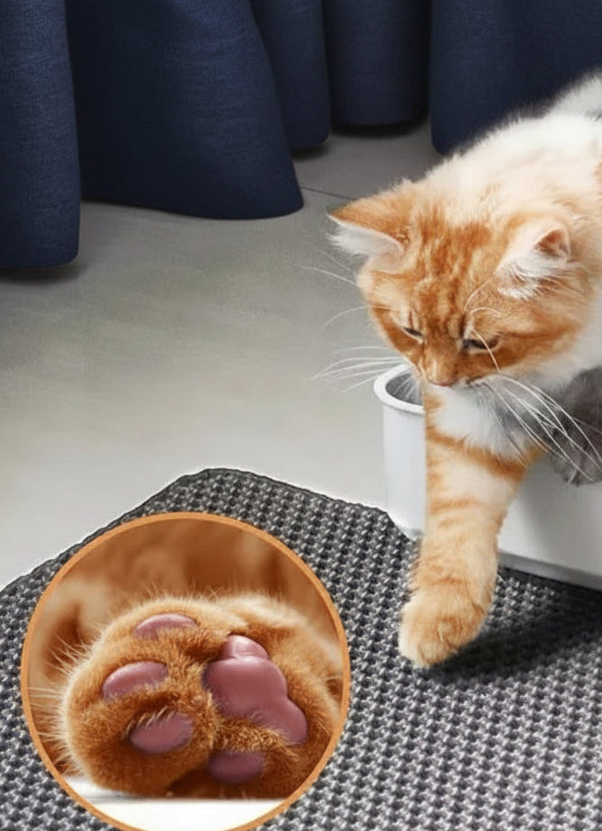 Double Layer Cat Litter Mat