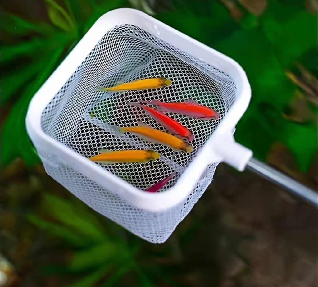 Expandible Stainless Steel Net for Aquarium