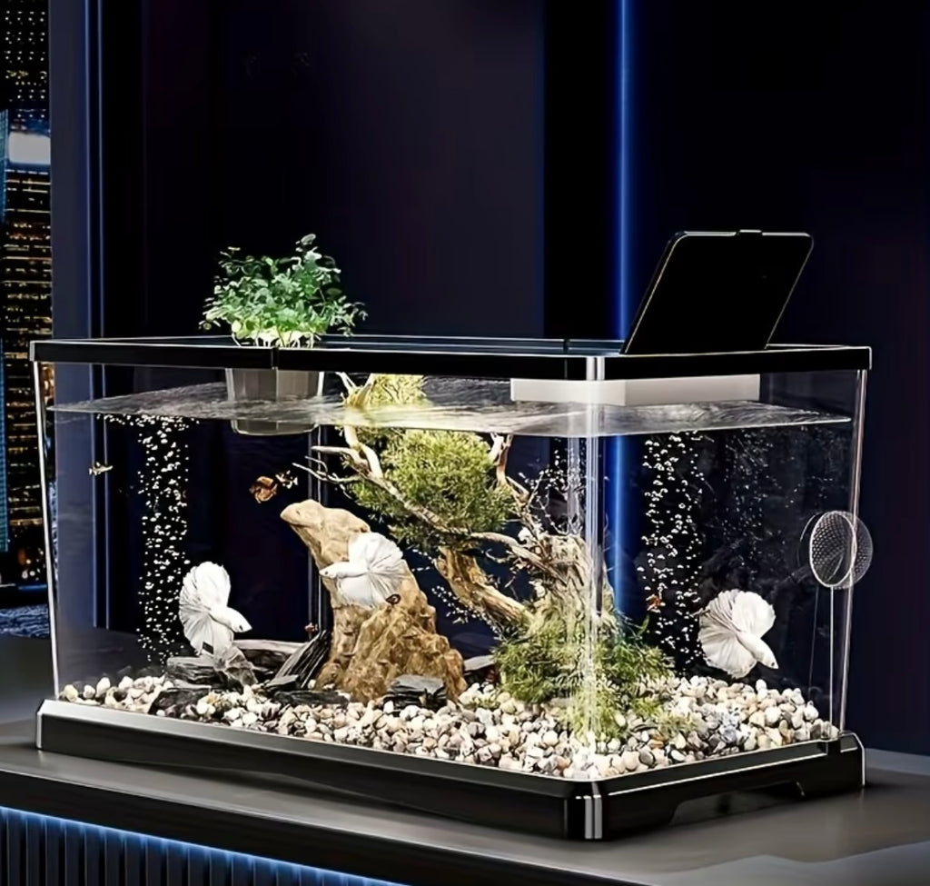 1 Set of Starter Kit for Resistant Aquarium, Modern Aquarium