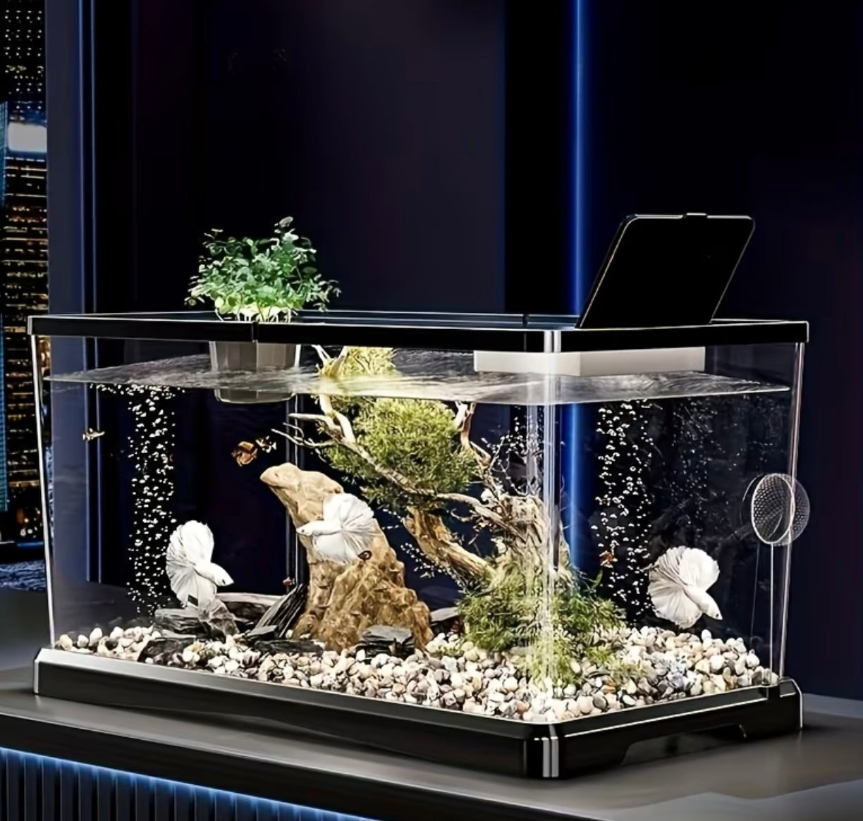 1 Set of Starter Kit for Resistant Aquarium, Modern Aquarium
