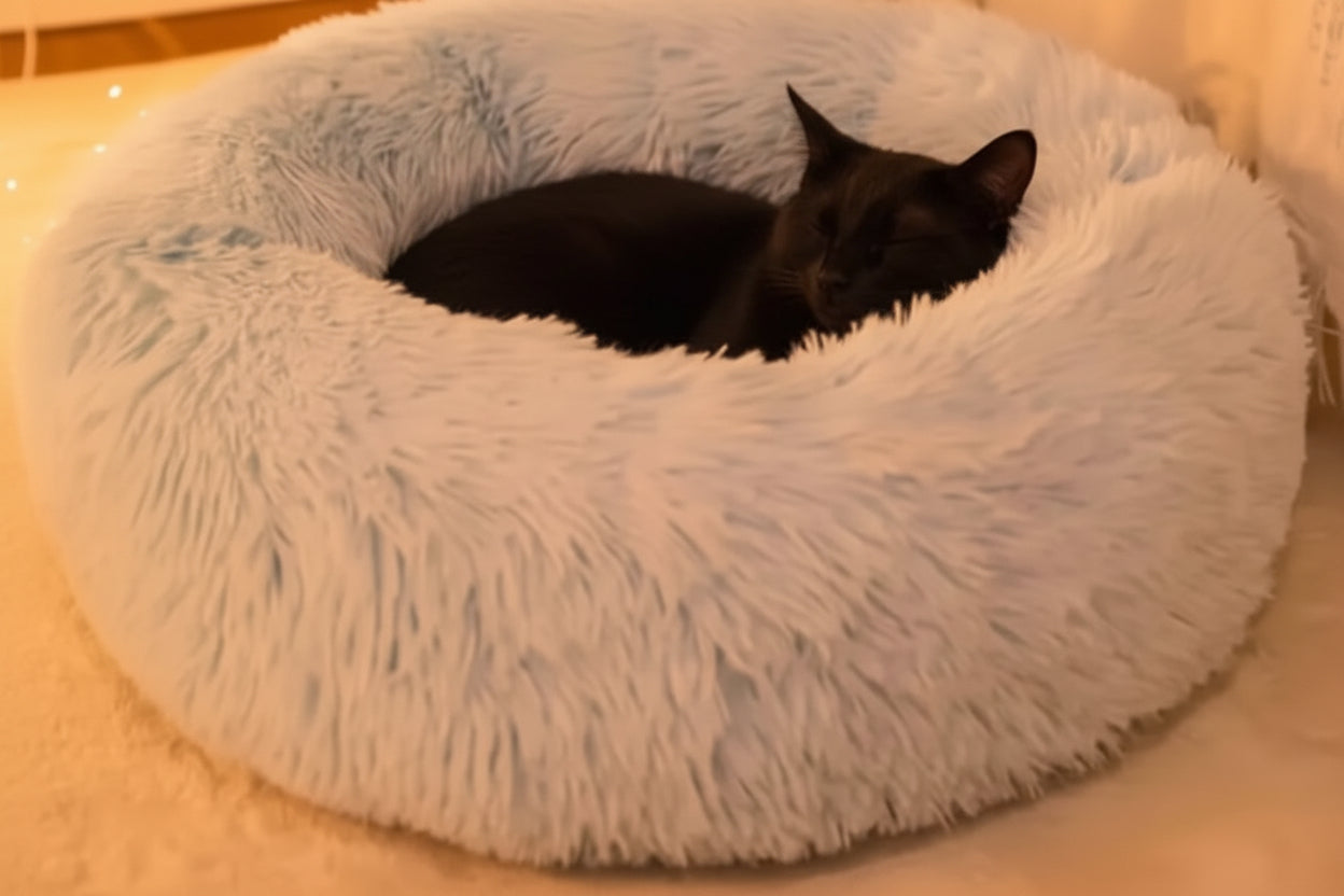 Comfortable Donut Beds for Dogs and Cats