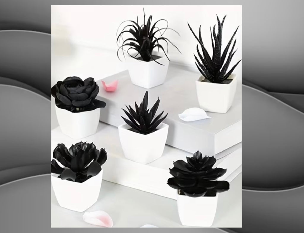 6 suculentas artificiales negras en minipollas