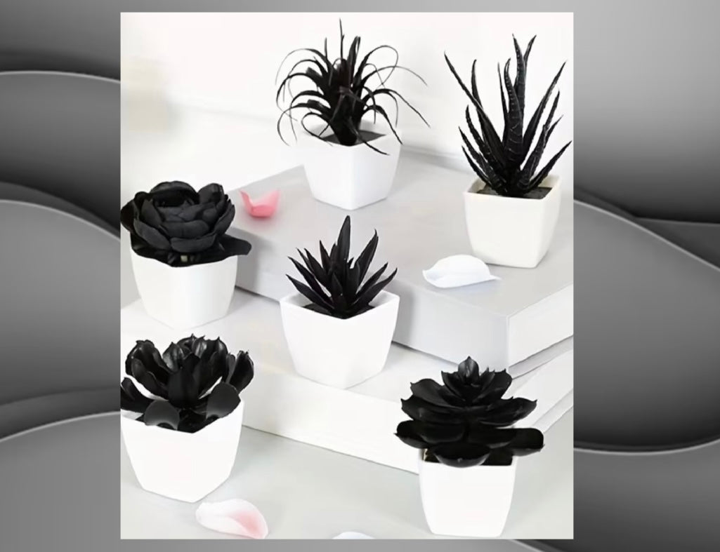 6 Pieces Black Artificial Succulents in Mini Pots